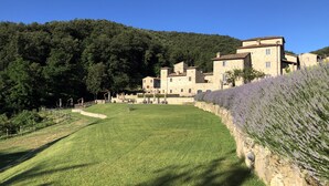 Property grounds - SPAO Borgo San Pietro AquaeOrtus (Allerona)