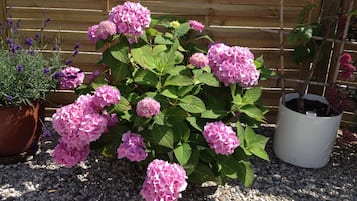 Eksteriør