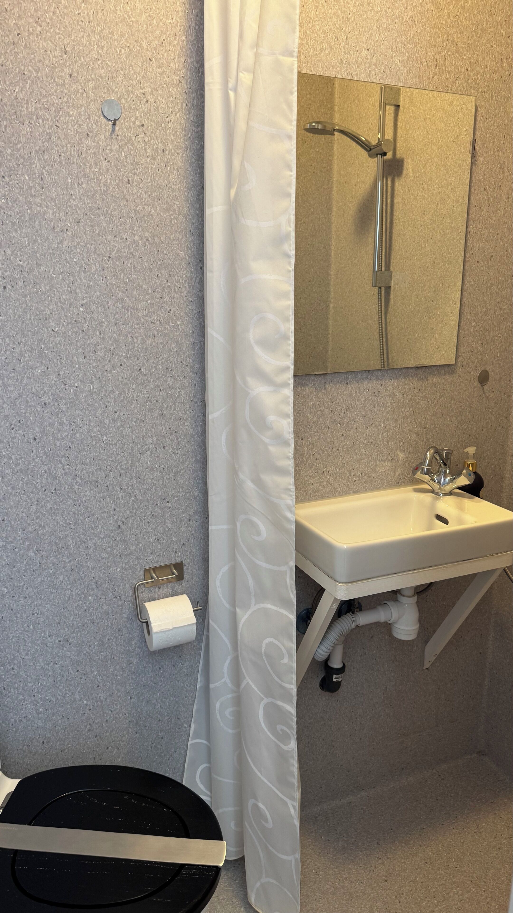 Un baño con cortina de ducha, un lavabo con espejo y un inodoro.