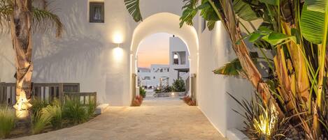 A pathway leading to a building with an archway, surrounded by tropical plants and a stone-paved ground.