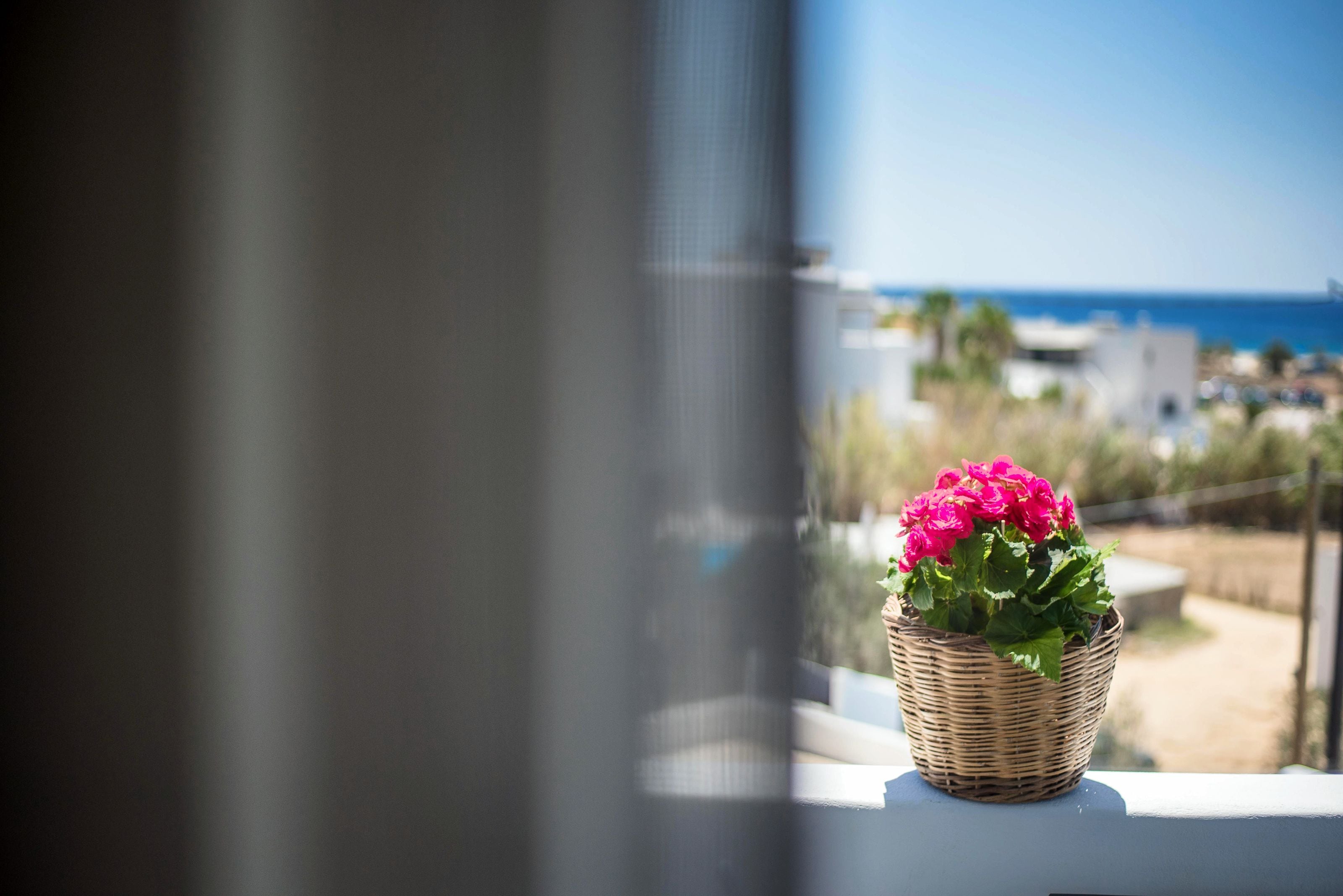 A wicker basket with pink flowers on a balcony railing, overlooking a coastal area with buildings and a clear sky.