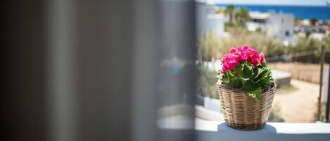 A wicker basket with pink flowers on a balcony railing, overlooking a coastal area with buildings and a clear sky.