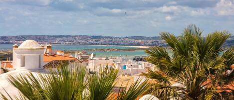 A coastal cityscape with a prominent white dome structure, a view of the sea, and palm trees in the foreground.