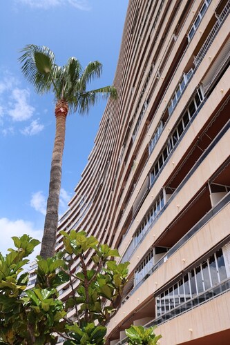 Apartamentos Florazar II