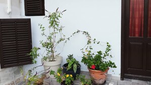 L’extérieur d’un bâtiment avec un mur blanc, une porte marron et plusieurs plantes en pot disposées sur les marches.