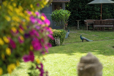 Marlborough house hotel