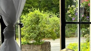 A room with a large window, a wooden statue of a lion, and a picnic table outside. - Royal Goat Hotel (Caernarfon)