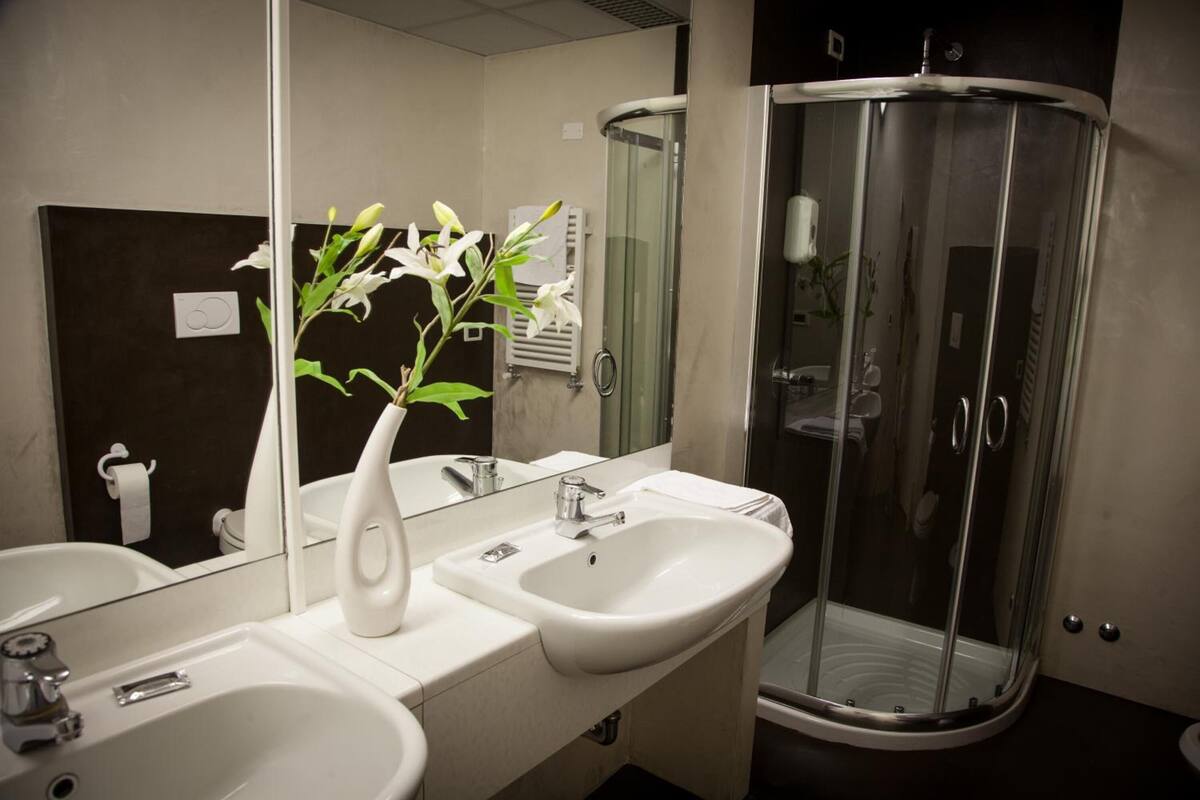 free toiletries, hair dryer, bidet, towels