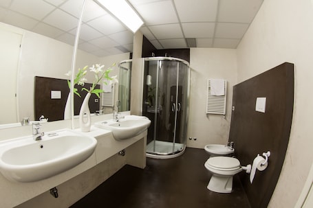Free toiletries, hair dryer, bidet, towels. Hotel Master