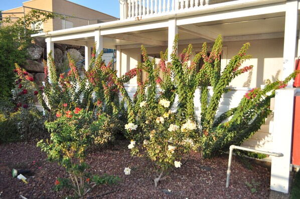 Classic Suite, 1 Bedroom | Terrace/patio - Richmond Estate (Had Nes)