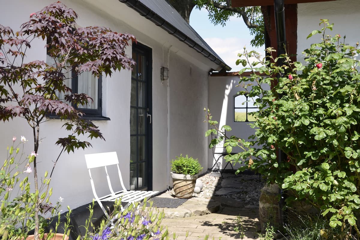 A white building with a black door, a small garden with a white chair, and a potted plant.
