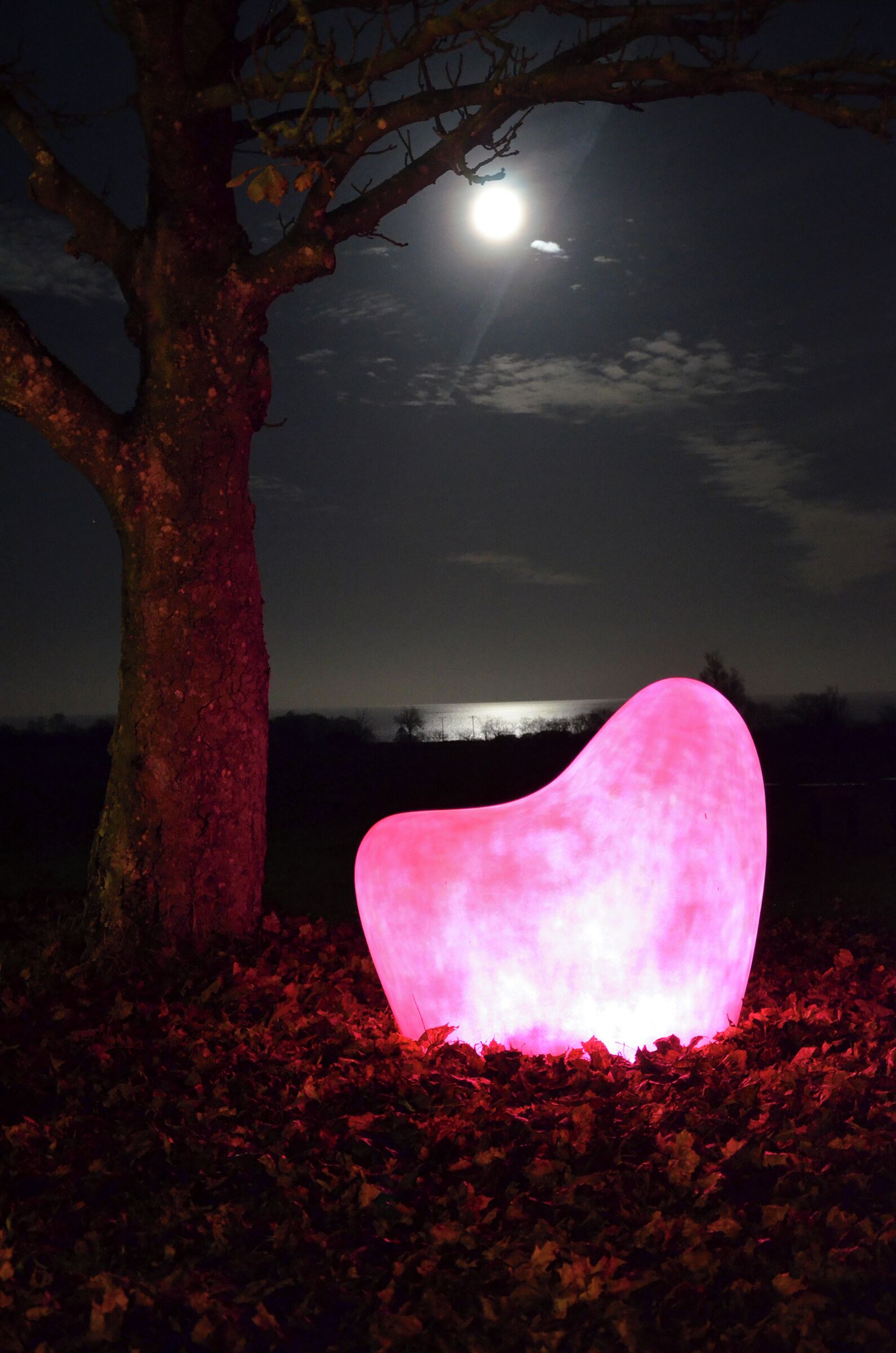 A glowing pink sculpture in a natural setting with a tree and a moonlit sky.