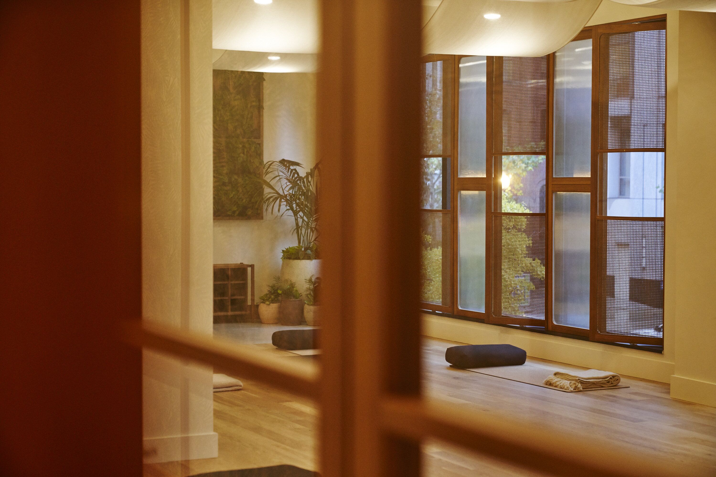 Una habitación con suelo de madera, una planta en maceta y un ventanal de varios cristales.