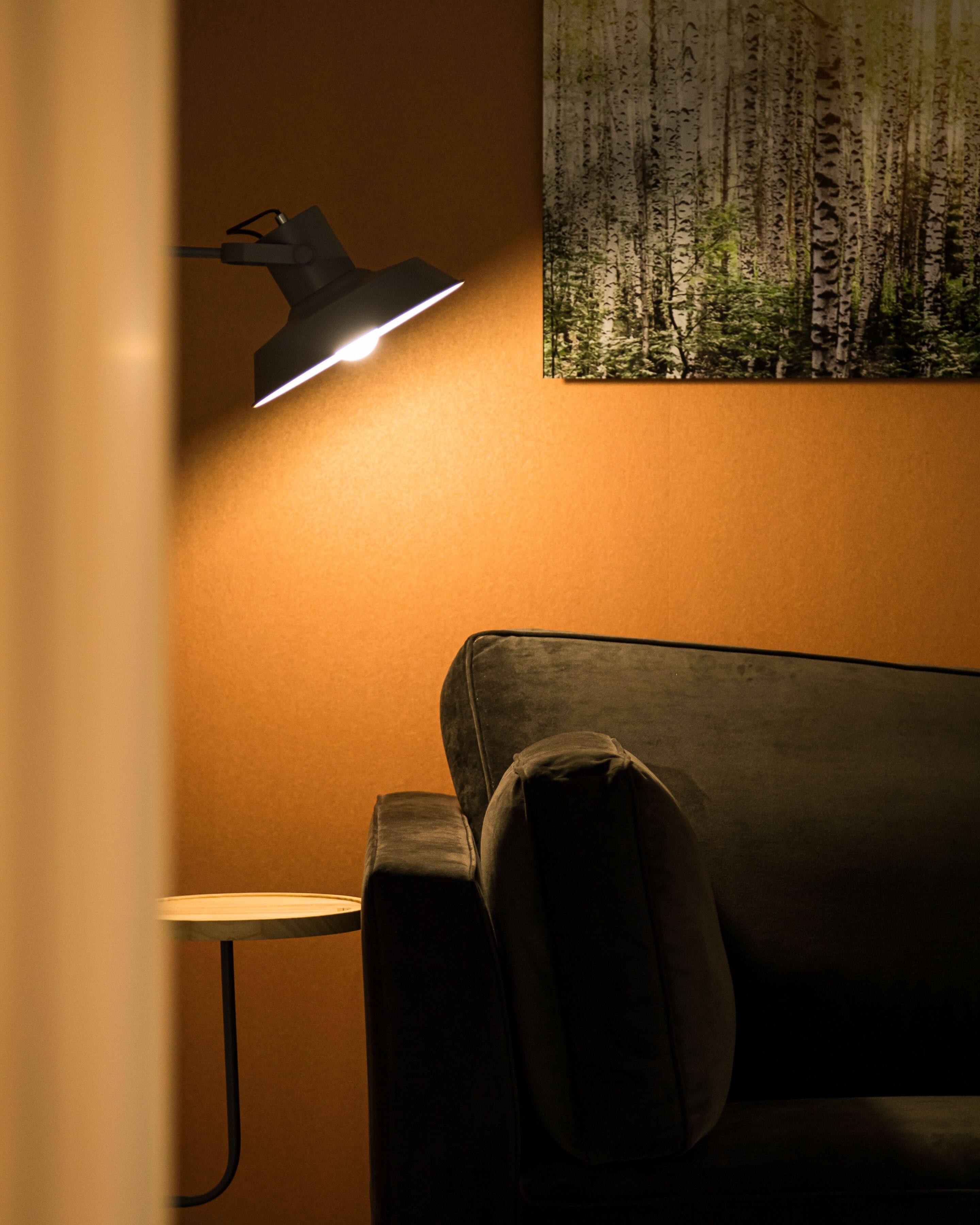 junior suite | living area