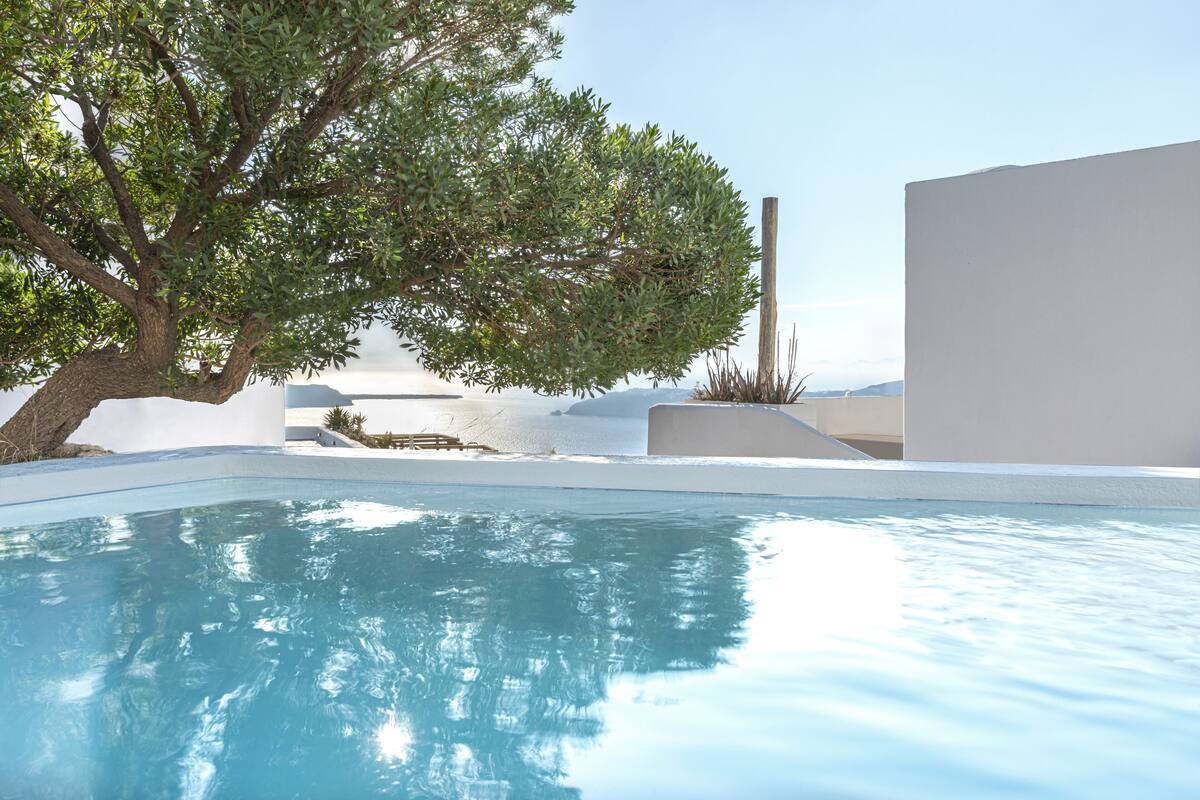 Ein moderner Poolbereich mit einem großen Baum und minimalistischer Architektur.