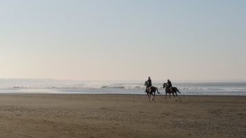 Horse riding