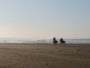 Paseos a caballo