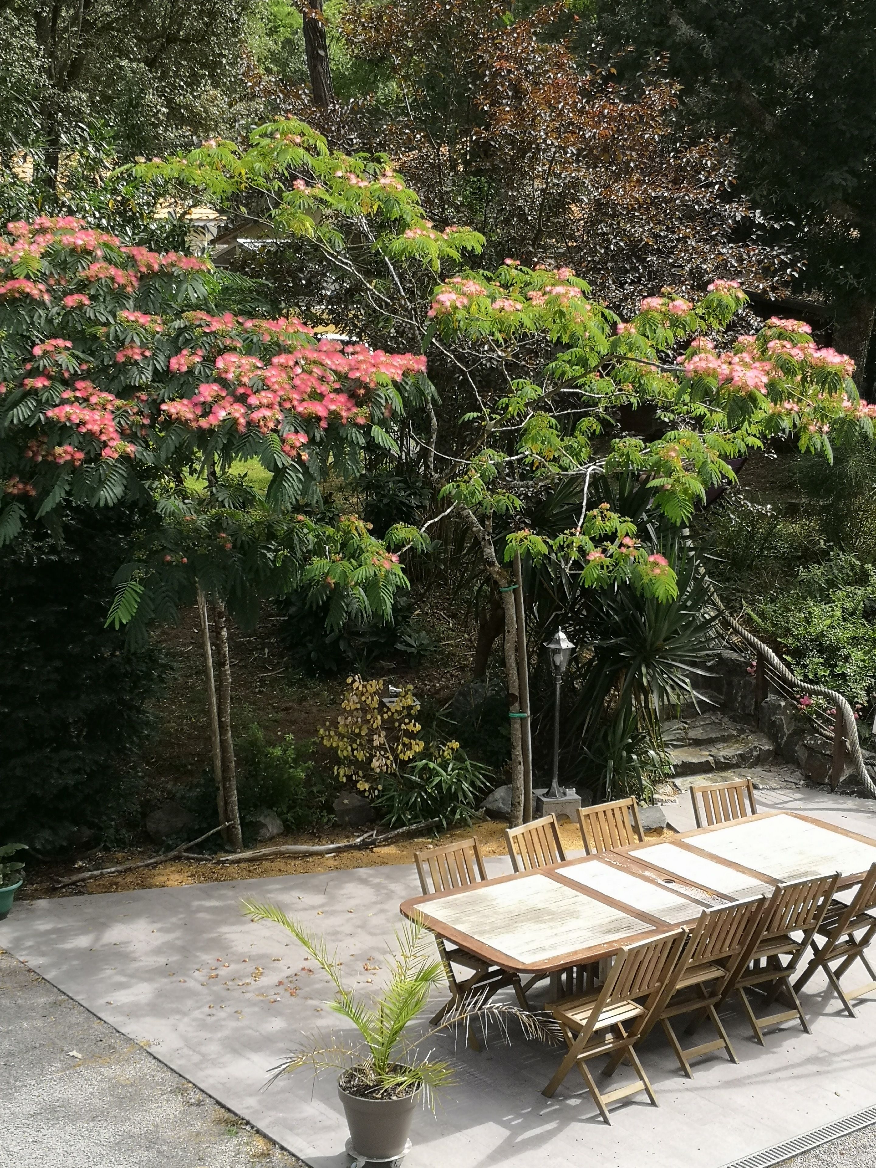 Comfort Double Room, 1 Queen Bed, Non Smoking | Garden view