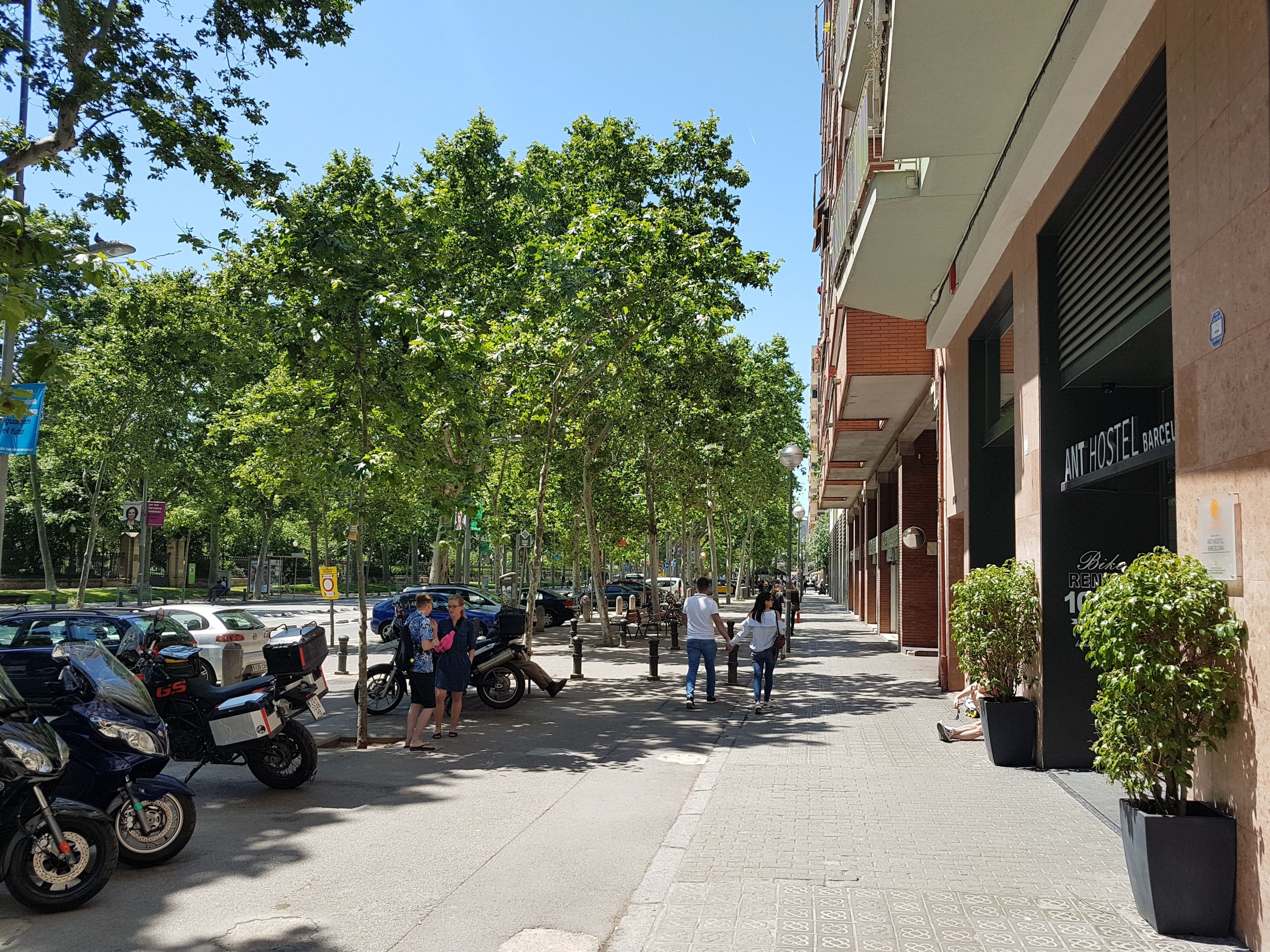 Photo - Ant Hostel Barcelona