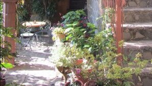 A wooden staircase leading to a covered outdoor area with plants and a seating area. - Casa Hagan (Santa Cruz La Laguna)