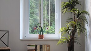 A room with a window, a bookshelf, and a potted plant. - Hotel Weidenhof (Plettenberg)