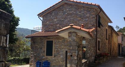 Agriturismo Gli Ulivi