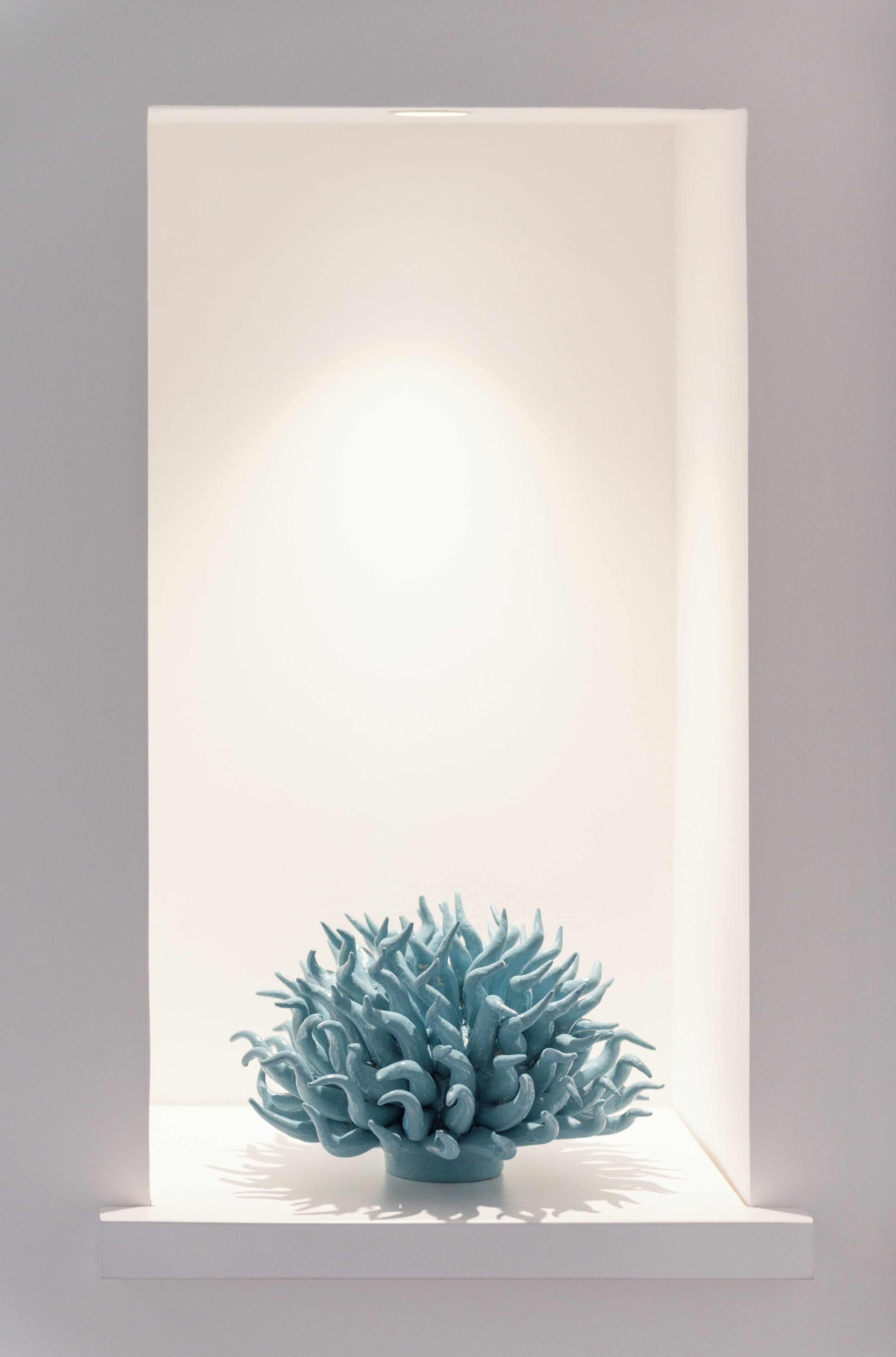 A blue coral sculpture in a white display case.