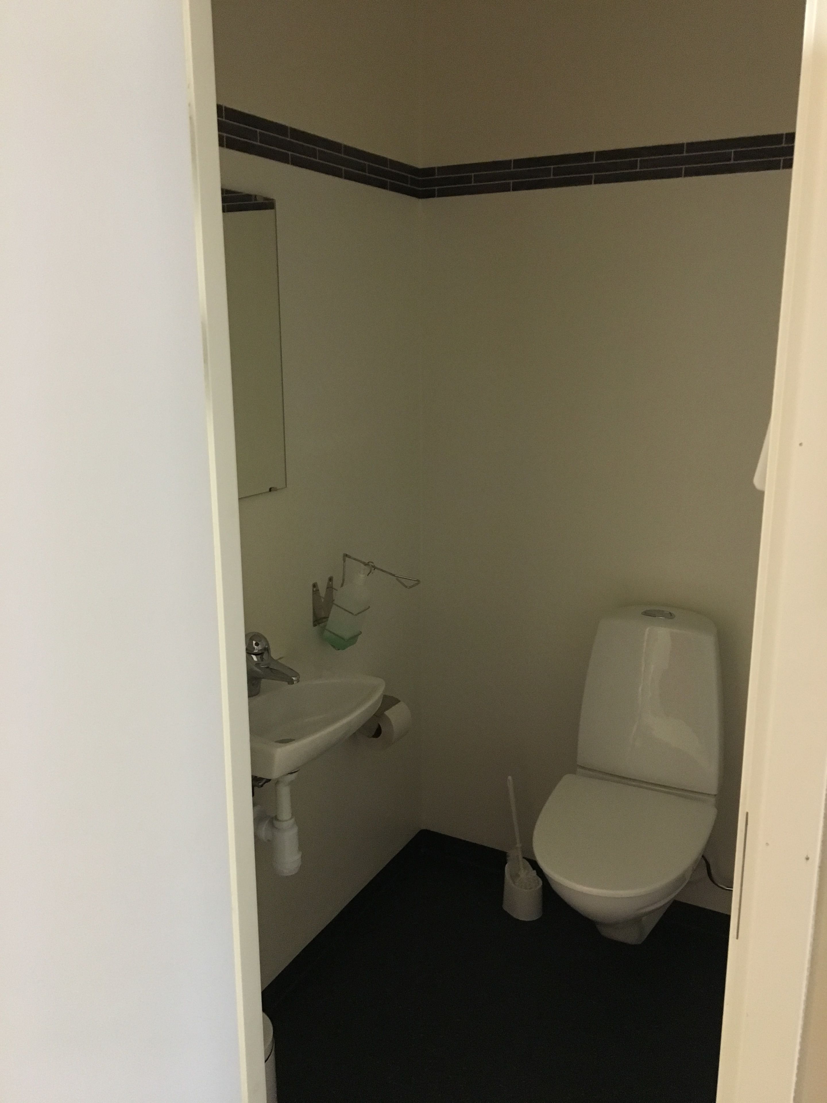 Ett litet, smalt badrum med ett vitt handfat, en toalett och en spegel ovanför handfatet.