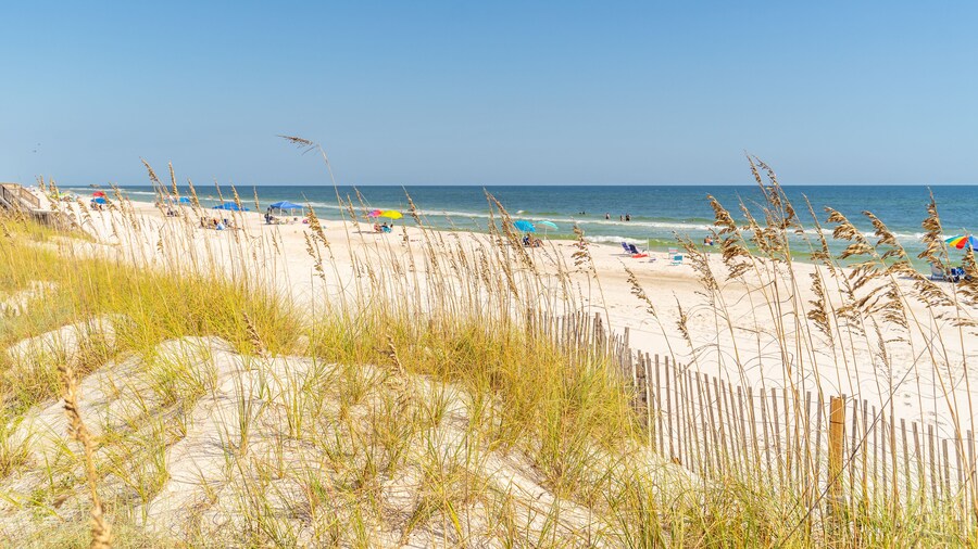 Little Lagoon Cottages