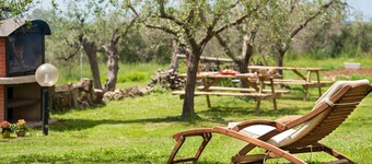 Artemisia negli ulivi B&B