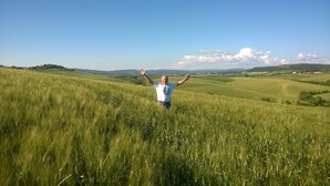 Une personne se tient debout dans un champ, les bras levés, entourée de collines ondoyantes et sous un ciel dégagé.
