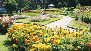 Point of interest - Mount Mary Inn (Nuwara Eliya)