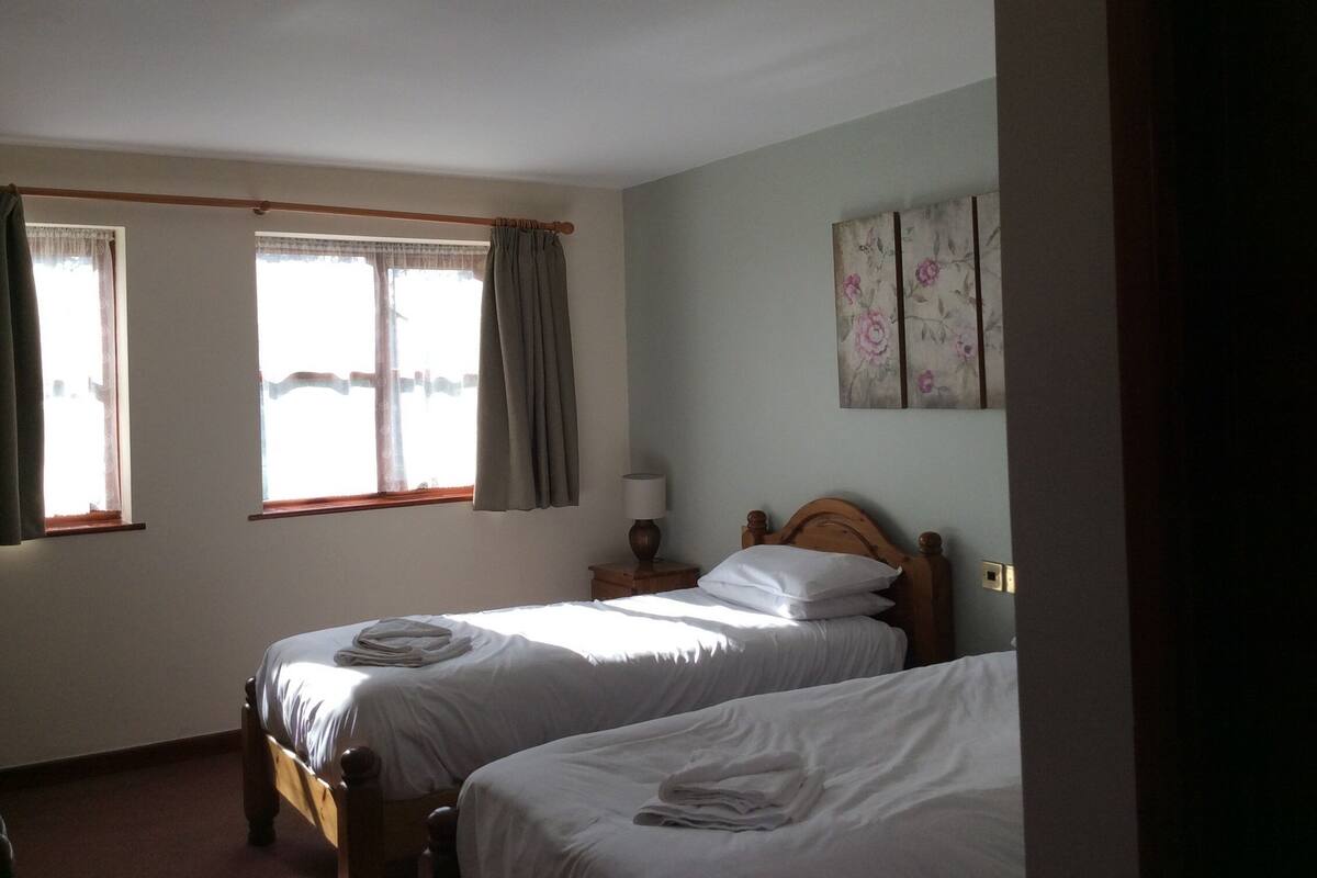 Une chambre avec deux lits simples, une fenêtre avec des rideaux, une table de chevet avec une lampe et une œuvre d’art à motifs floraux accrochée au mur.