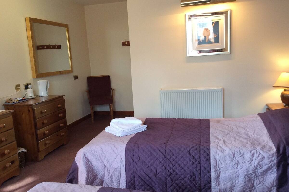 Une chambre d’hôtel avec deux lits, une commode, une chaise, un radiateur et un tableau encadré au mur.
