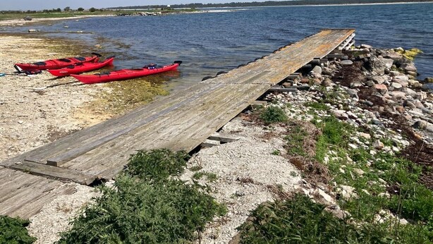 En träbrygga som sträcker sig ut i ett stilla vattenområde, och längs stranden står flera kajaker uppradade.