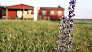En byggnad med ett rött tak och vita kolonner som står på en gräsklädd åker.
