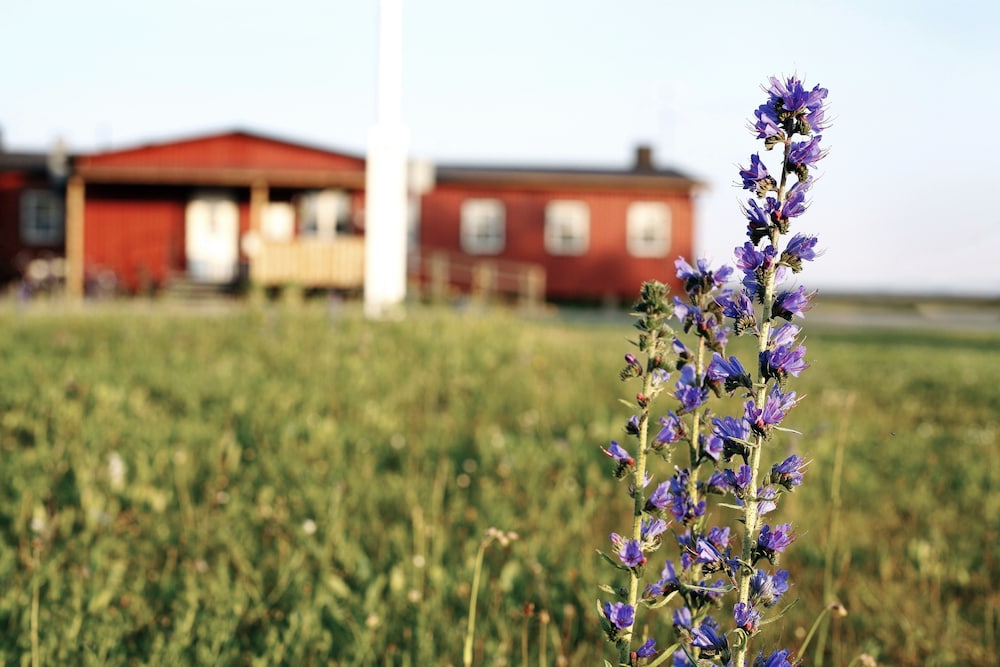 STF Fårösund Vandrarhem by null