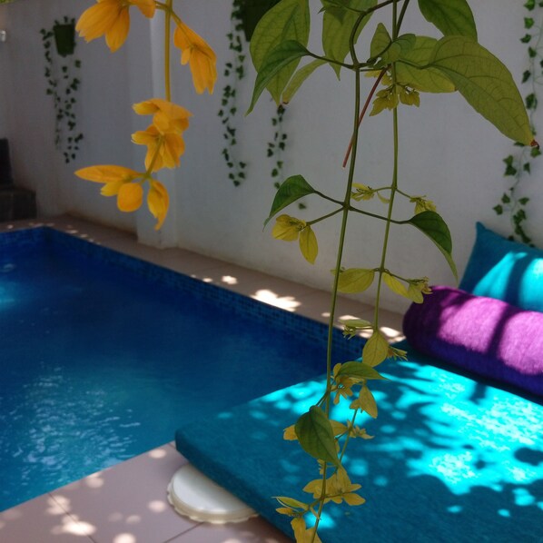 Uma área de piscina com piscina azul, parede branca e hera verde, e almofada roxa em um banco.