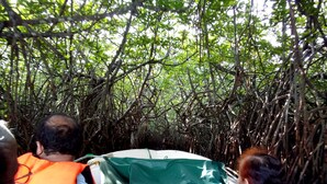 A group of people in a natural setting with dense foliage overhead. - Villa Seven Panadura (Panadura)
