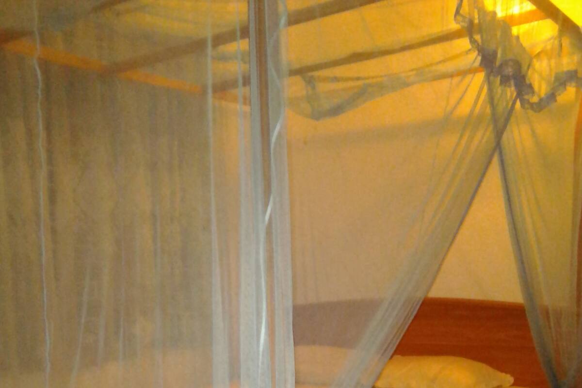 A bed with a mosquito net and a pillow.