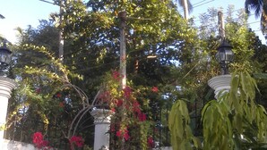 A garden with a white wall, a palm tree, and a street lamp. - Bandhusena Apartments (Mirissa)
