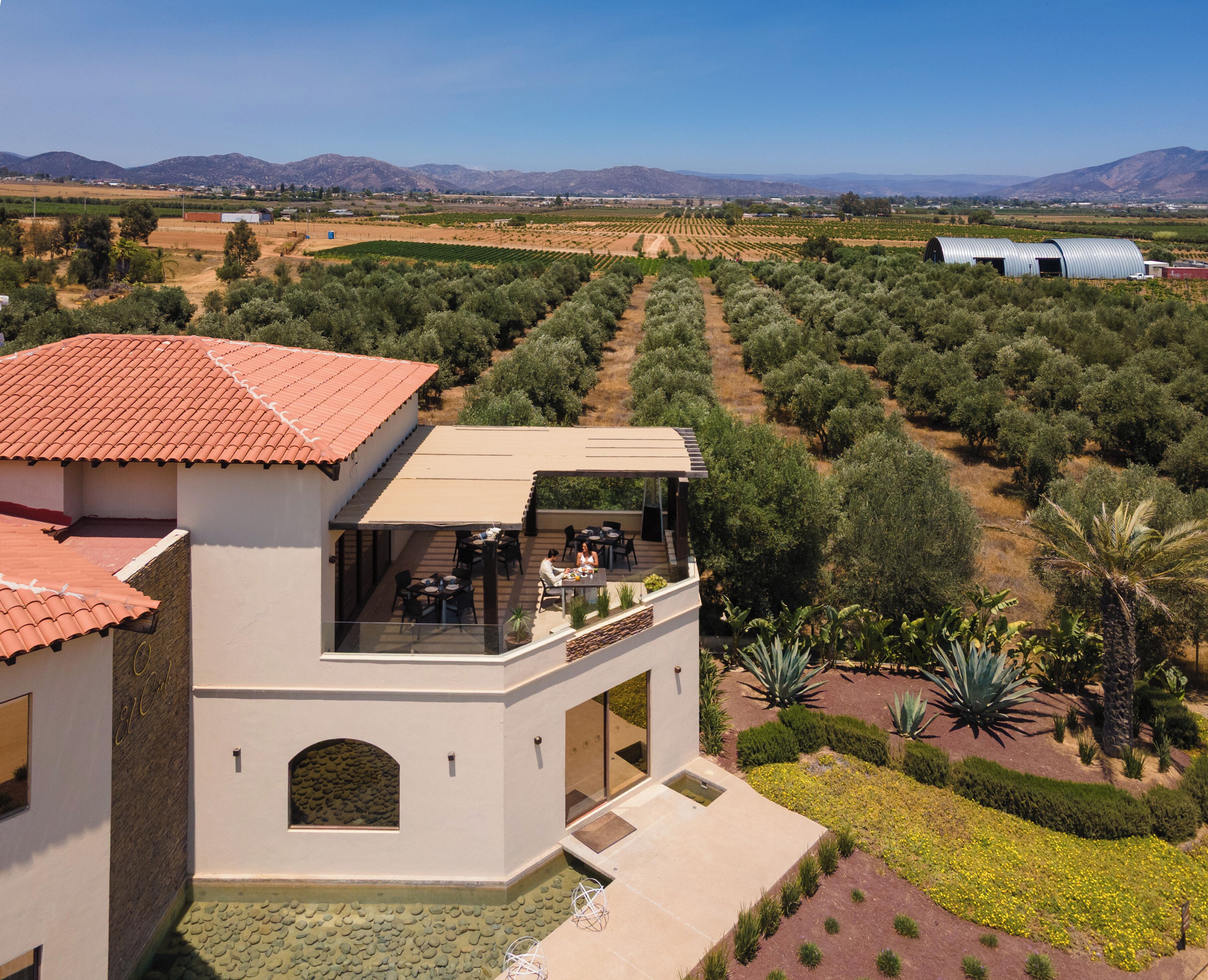 A modern building with a red-tiled roof, a covered outdoor seating area, and a view of olive groves.