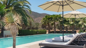 A poolside area with lounge chairs and umbrellas, palm trees, and a mountain in the background.
