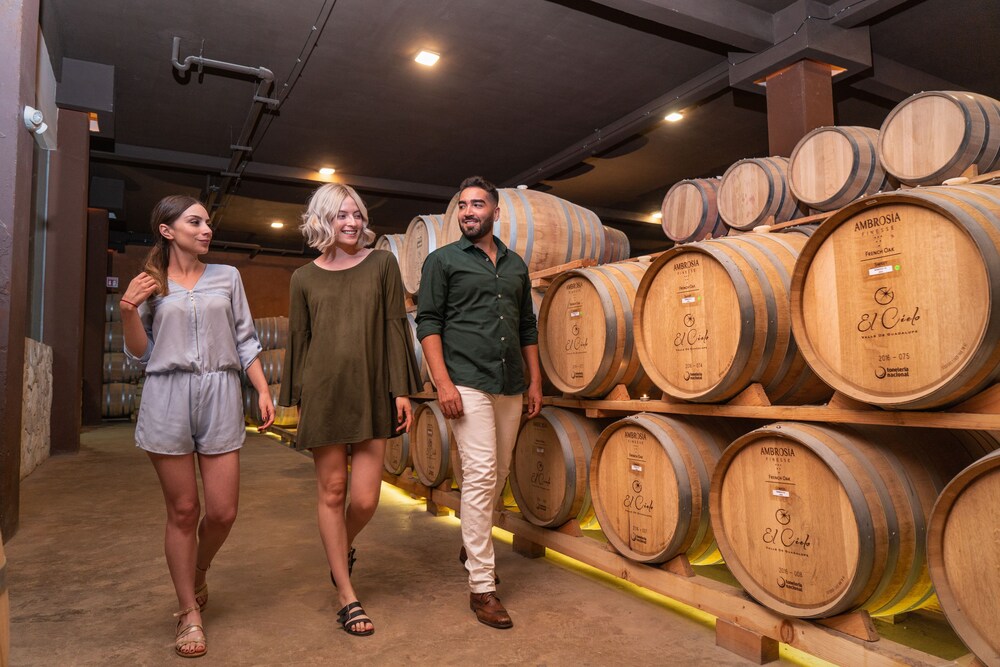 El Cielo Resort Valle de Guadalupe by null