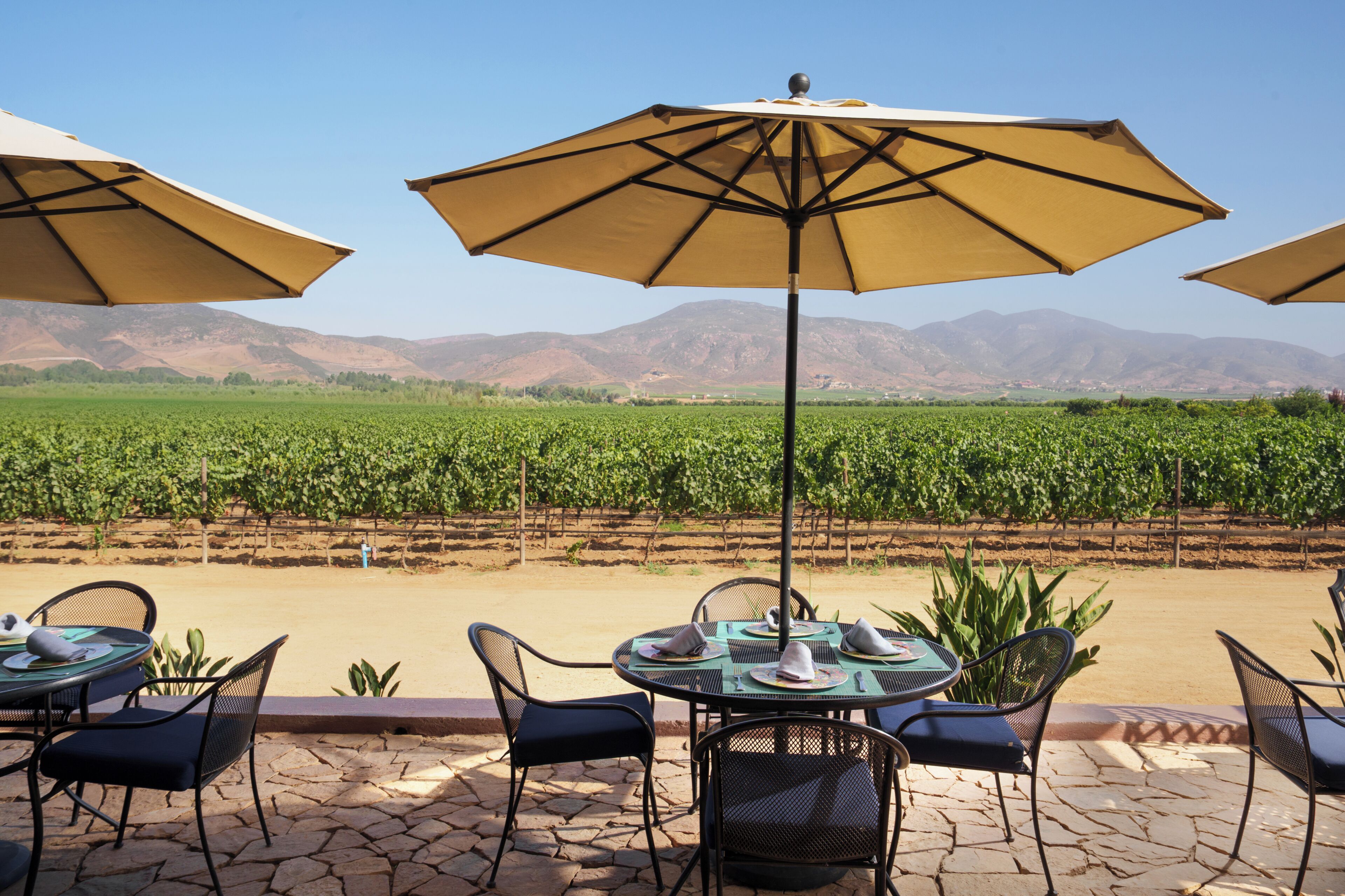 2 من المطاعم، حيث تُقدم وجبات الإفطار، الغداء، العشاء، الأطباق المختلطة