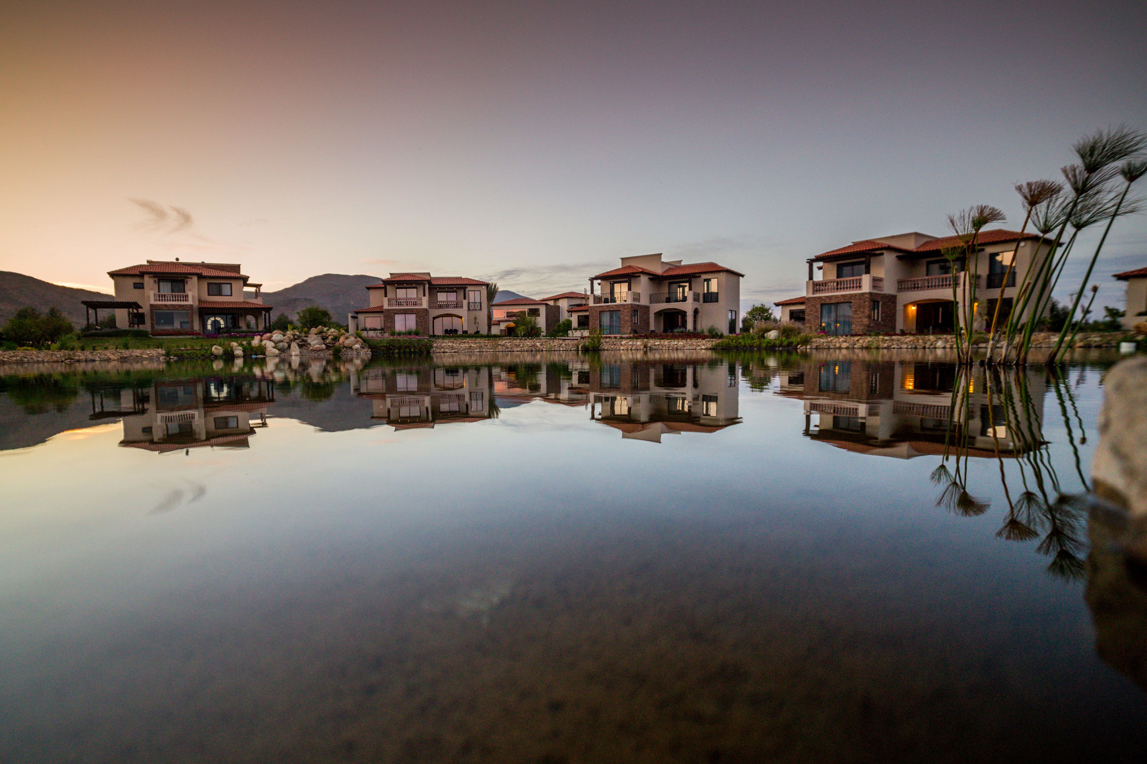 Filas de casas modernas con un lago tranquilo que refleja su arquitectura.