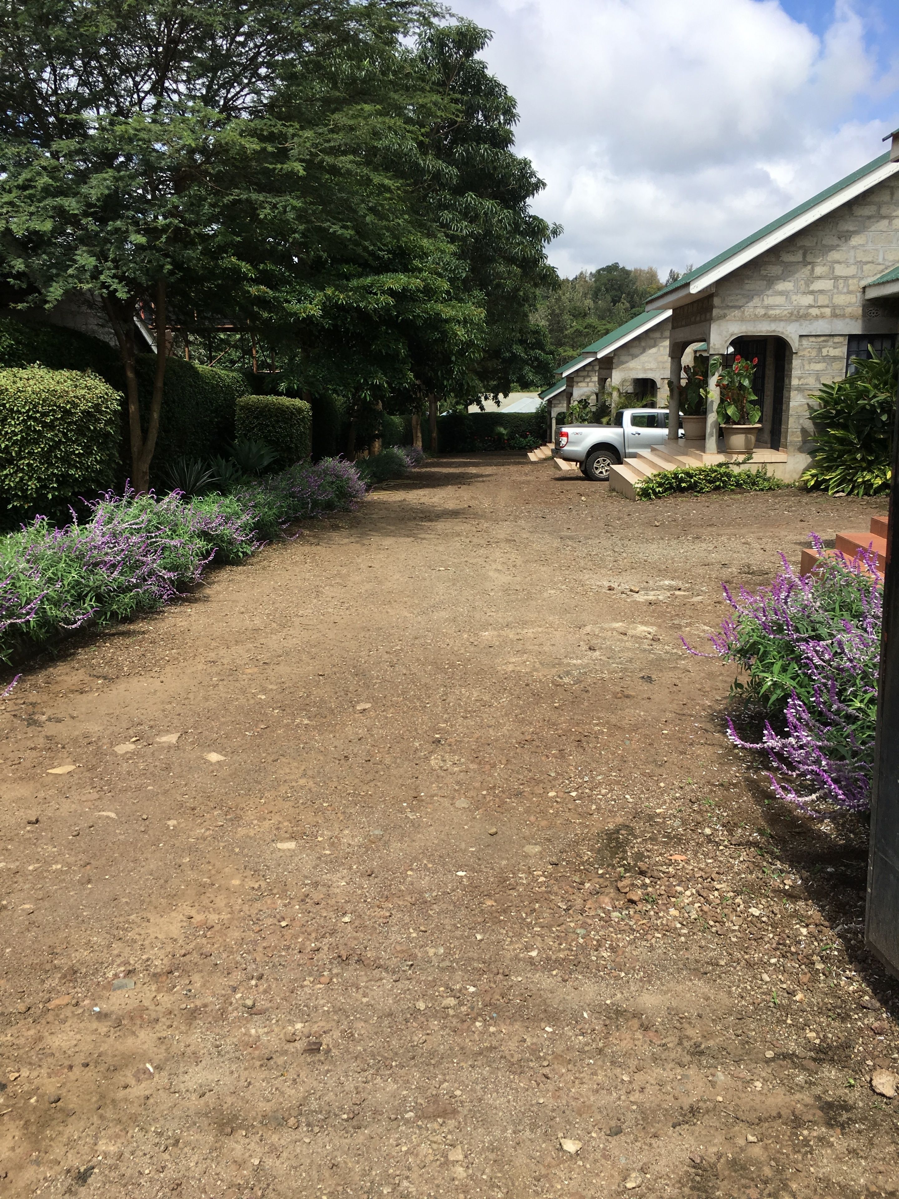 Un sendero de tierra que lleva a una edificación de piedra con techo verde, rodeada de abundante vegetación y flores moradas.