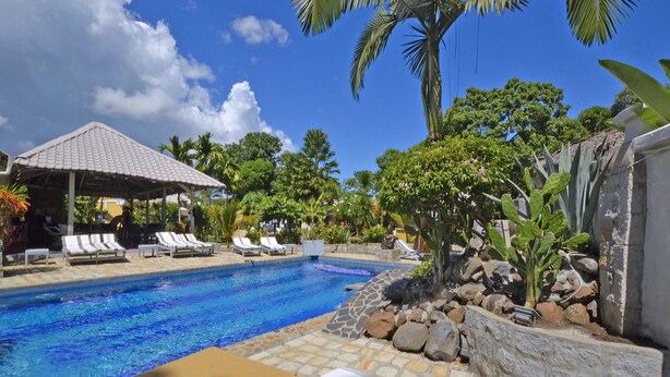 Piscina con sillas de descanso y una zona cubierta, rodeada de plantas tropicales y rocas.