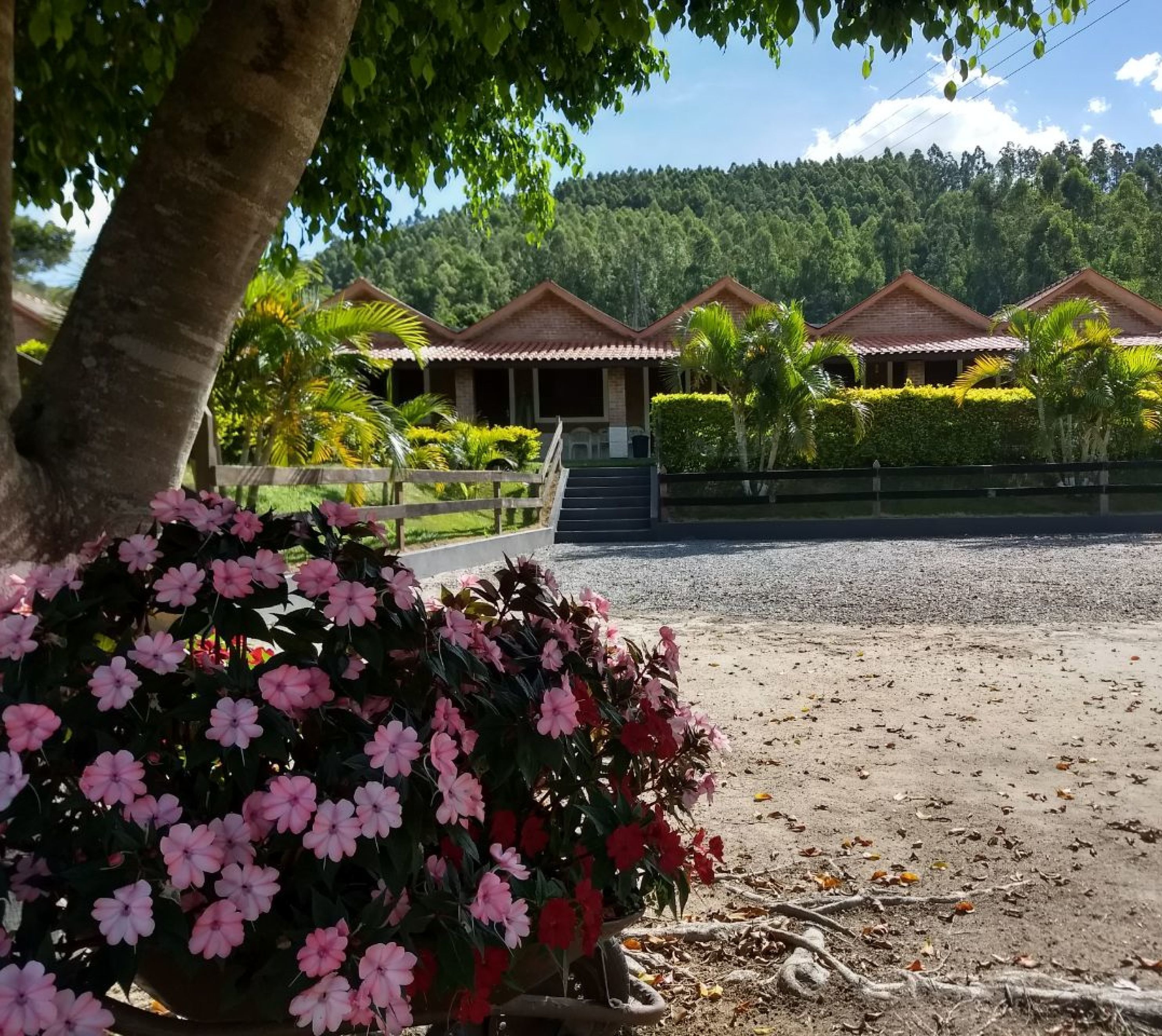 A resort with multiple buildings, a gravel driveway, and lush greenery.