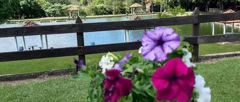 A garden with a wooden fence, a pond, and a hill in the background.